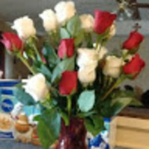 Meet your Posher, Barbie